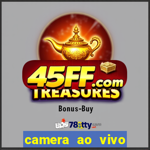 camera ao vivo porto de galinhas